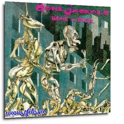 Постер The Gone Jackals - Дискография The Gone Jackals - Дискография