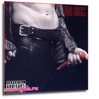 Постер Big Cock - Дискография Big Cock - Дискография