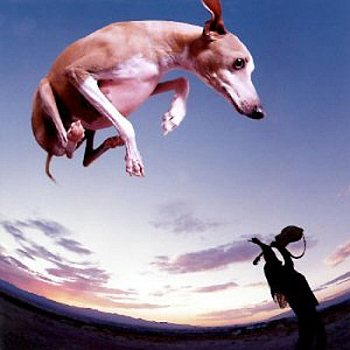 Постер Paul Gilbert - Дискография Paul Gilbert - Дискография