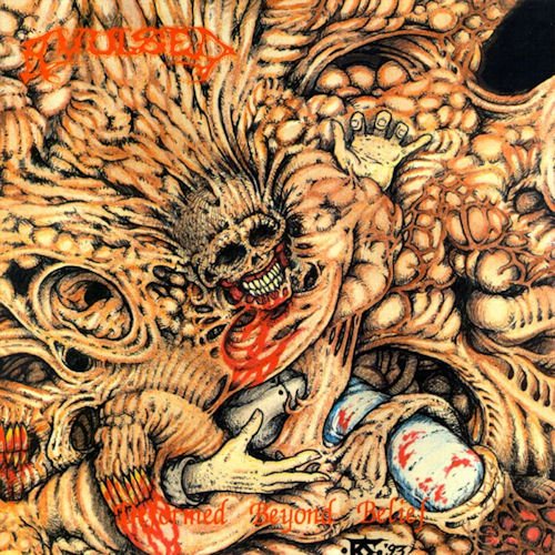 Постер Avulsed - Discography Avulsed - Discography