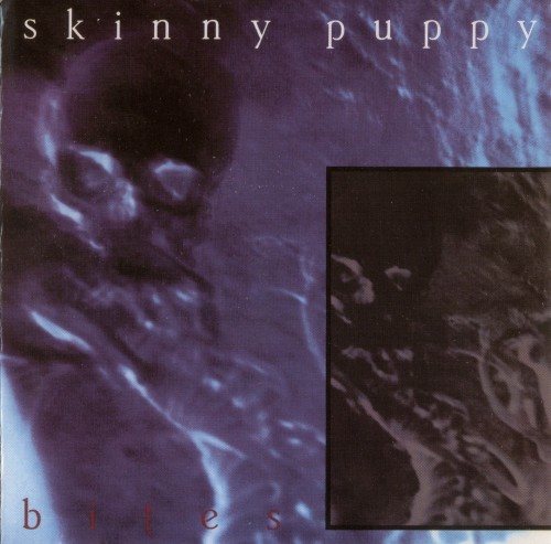 Постер Skinny Puppy - Discography Skinny Puppy - Discography