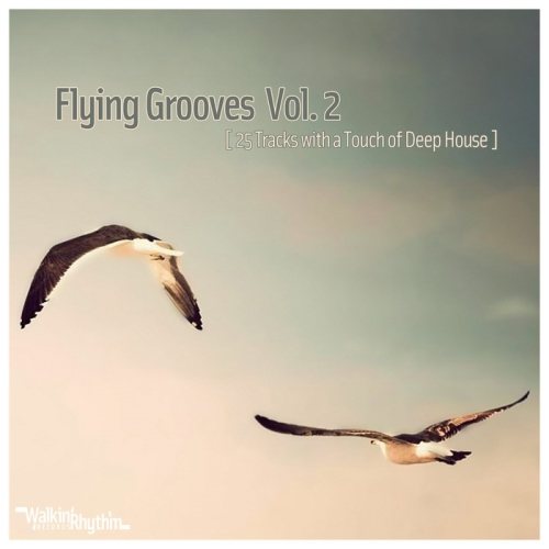 Постер VA - Flying Grooves, Vol. 1-2 VA - Flying Grooves, Vol. 1-2