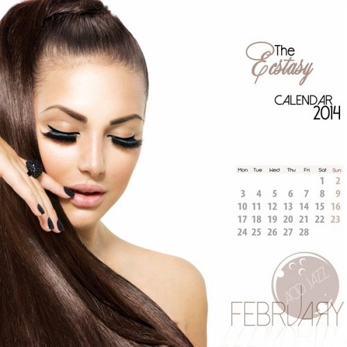 Постер VA - The Ecstasy Calendar 2014 VA - The Ecstasy Calendar 2014
