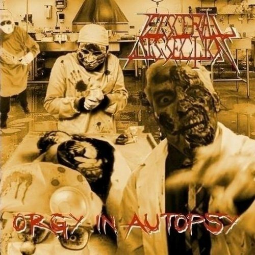 Постер Visceral Dissection - Discography Visceral Dissection - Discography