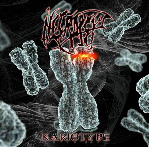 Постер Necropsy - Discography Necropsy - Discography