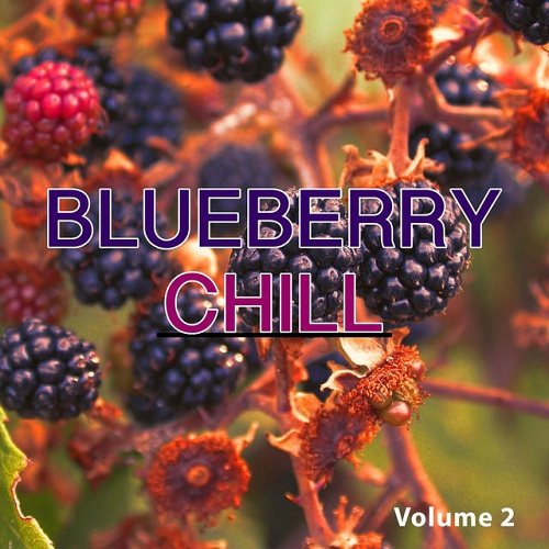 Постер VA - Blueberry Chill Vol 1-2 VA - Blueberry Chill Vol 1-2