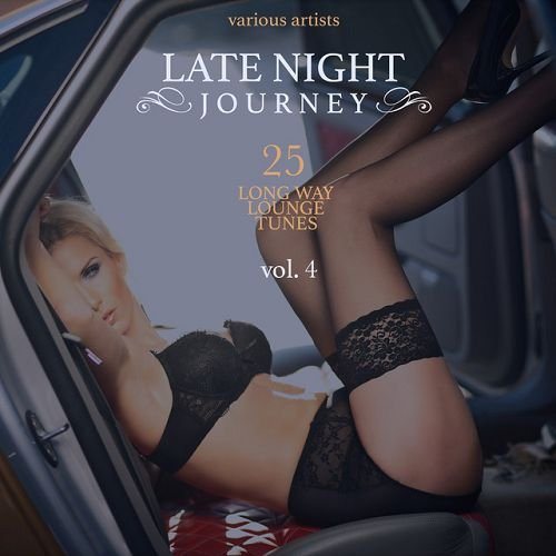 Постер VA - Late Night Journey Vol 3-4 VA - Late Night Journey Vol 3-4