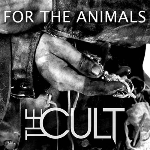 Постер The Cult Discography The Cult Discography