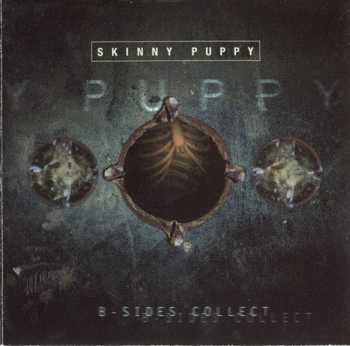 Постер Skinny Puppy - Discography Skinny Puppy - Discography
