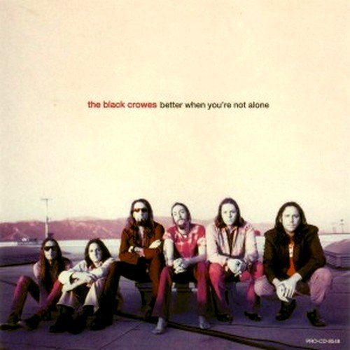 Постер The Black Crowes Discography The Black Crowes Discography