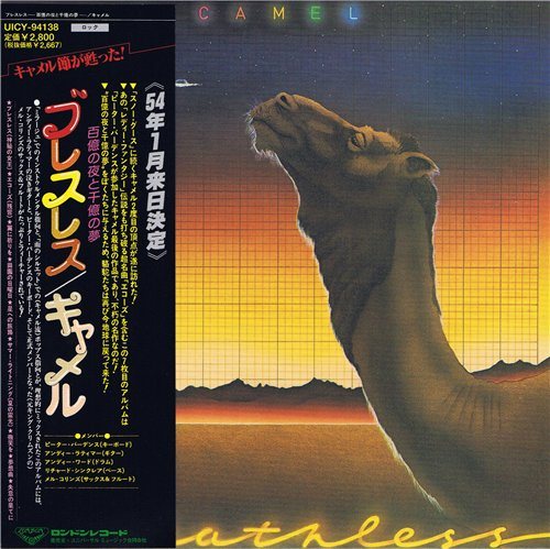 Постер Camel - Discography Camel - Discography