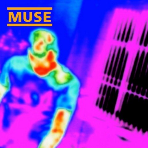 Постер Muse Discography Muse Discography