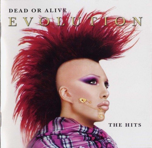 Постер Dead Or Alive - Discography Dead Or Alive - Discography