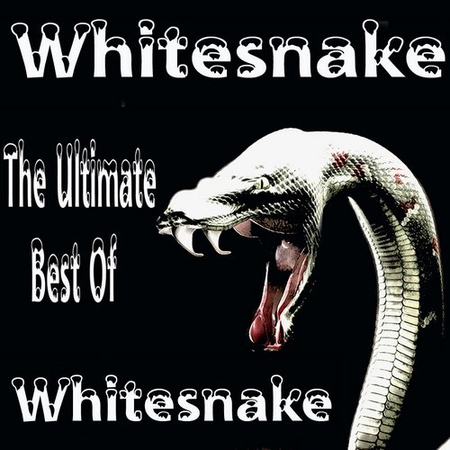 Постер Whitesnake Discography Whitesnake Discography