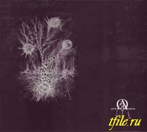 Постер Flёur - Дискография Flёur - Дискография