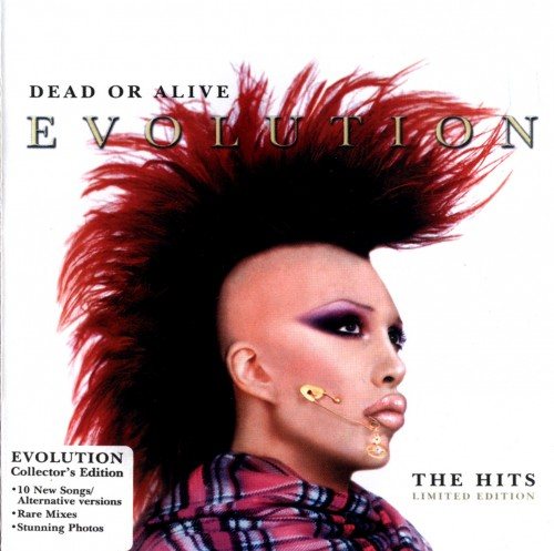 Постер Dead Or Alive - Discography Dead Or Alive - Discography