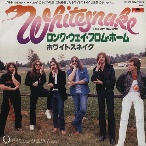 Постер Whitesnake Discography Whitesnake Discography