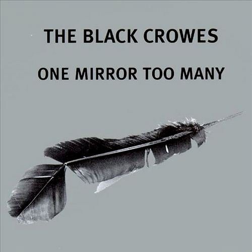 Постер The Black Crowes Discography The Black Crowes Discography