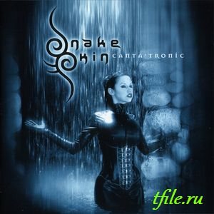 Постер Lacrimosa - Дискография Lacrimosa - Дискография