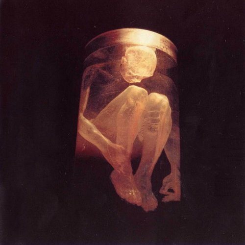Постер Alice In Chains Discography Alice In Chains Discography