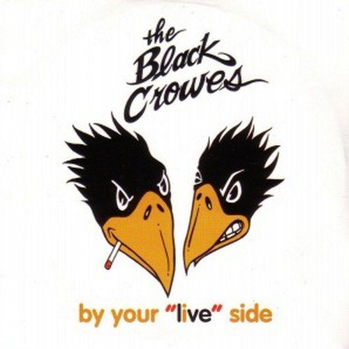 Постер The Black Crowes Discography The Black Crowes Discography