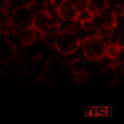 Постер OSI OSI