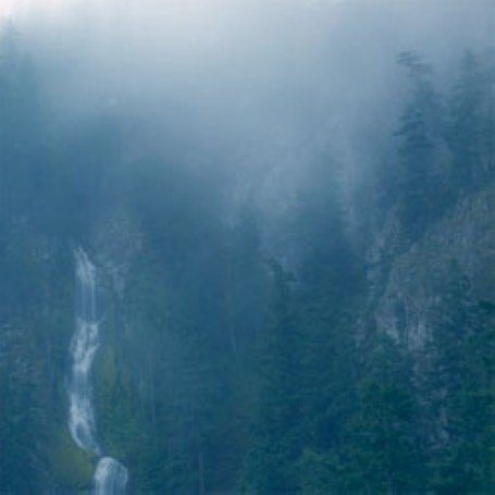 Постер Wolves in the Throne Room - Discography Wolves in the Throne Room - Discography