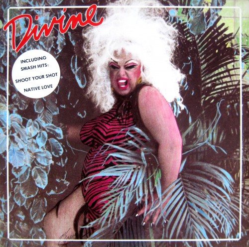 Постер Divine - Discography Divine - Discography