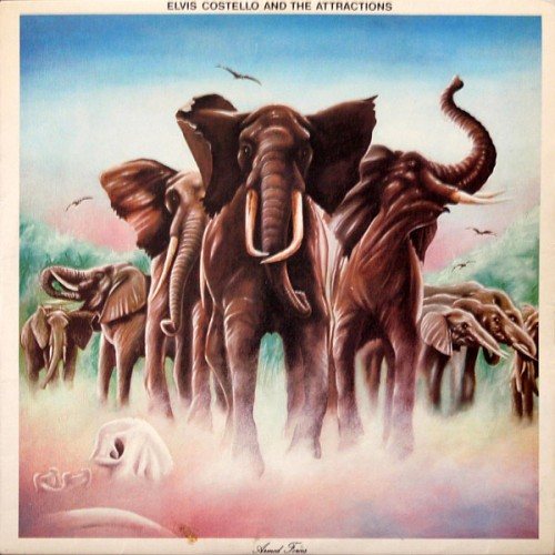 Постер Elvis Costello - Discography Elvis Costello - Discography