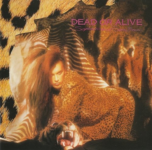 Постер Dead Or Alive - Discography Dead Or Alive - Discography