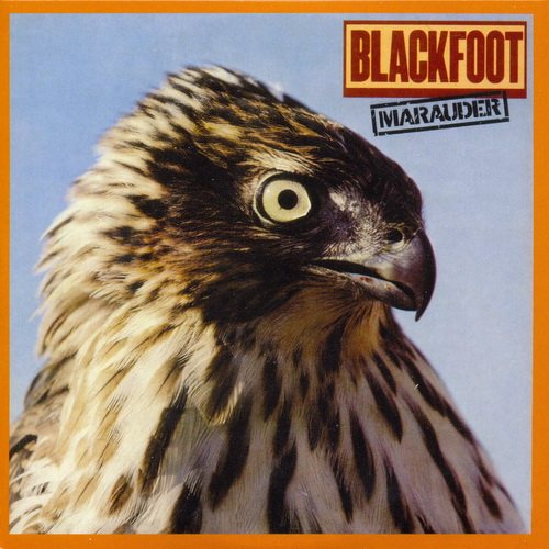 Постер Blackfoot - Original Album Series Blackfoot - Original Album Series