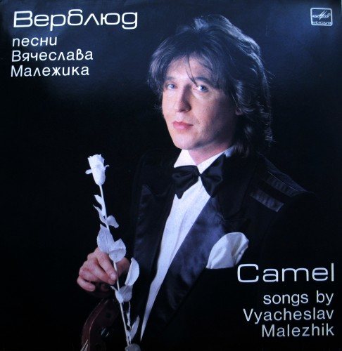 Постер Вячеслав Малежик - Дискография Вячеслав Малежик - Дискография