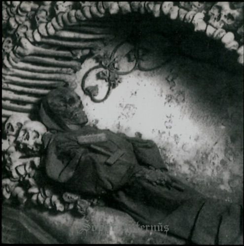 Постер Sopor Aeternus The Ensemble Of Shadows - Discography Sopor Aeternus The Ensemble Of Shadows - Discography