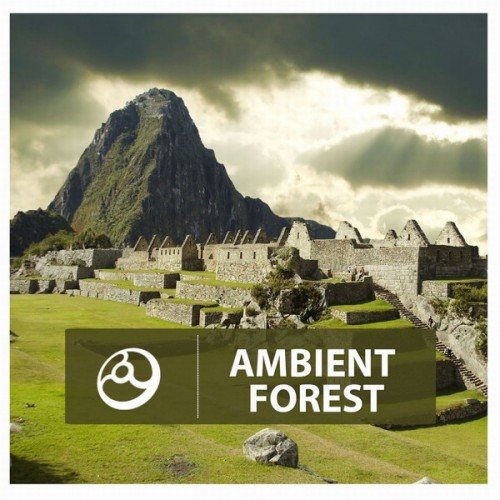 Постер VA - Ambient Sessions, Realms, Attraction, Times... VA - Ambient Sessions, Realms, Attraction, Times...