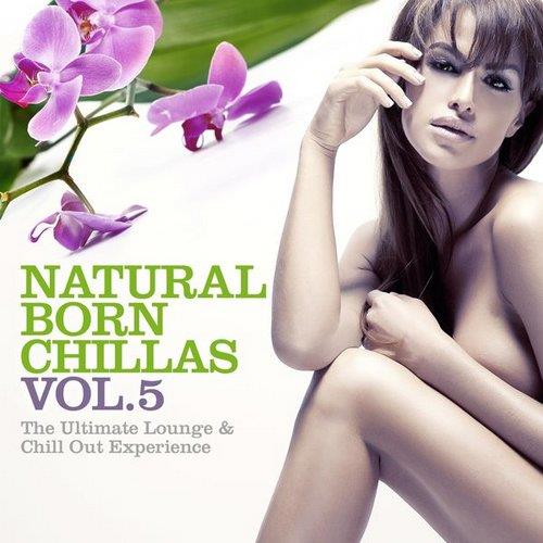 Постер VA - Natural Born Chillas, Vol. 3-5 VA - Natural Born Chillas, Vol. 3-5