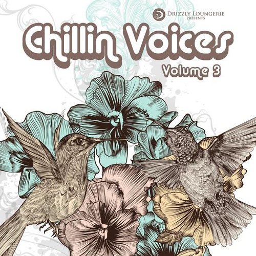 Постер VA - Chillin Voices Vol 1-3 VA - Chillin Voices Vol 1-3