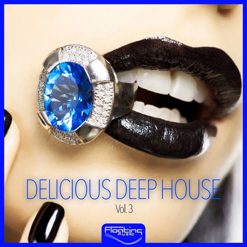 Постер VA - Delicious Deep House Vol 1-3 VA - Delicious Deep House Vol 1-3