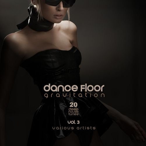 Постер VA - Dance Floor Gravitation Vol 1-4 VA - Dance Floor Gravitation Vol 1-4