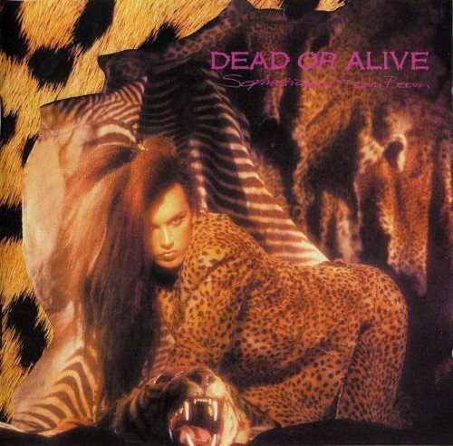 Постер Dead Or Alive - Discography Dead Or Alive - Discography