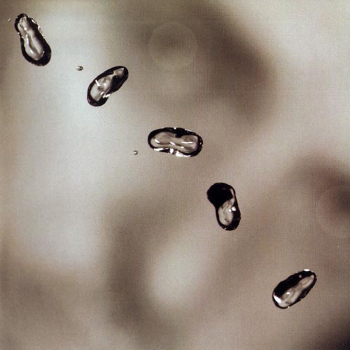 Постер Peter Gabriel - Discography Peter Gabriel - Discography