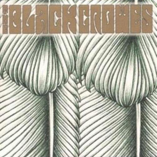 Постер The Black Crowes Discography The Black Crowes Discography