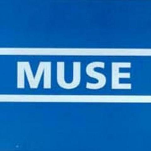 Постер Muse Discography Muse Discography