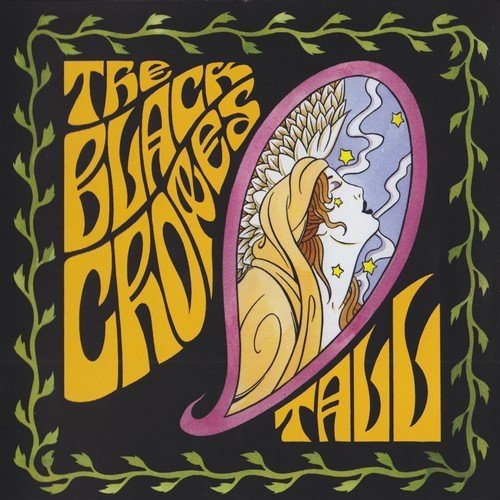 Постер The Black Crowes Discography The Black Crowes Discography