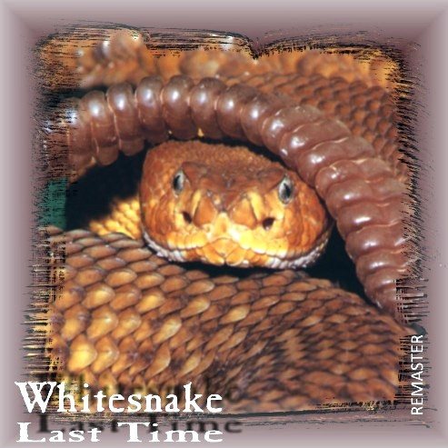 Постер Whitesnake - Bootleg Collection Whitesnake - Bootleg Collection