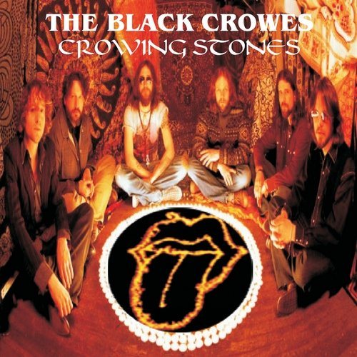 Постер The Black Crowes Discography The Black Crowes Discography