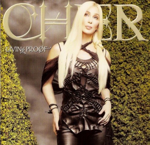 Постер Cher - Discography Cher - Discography