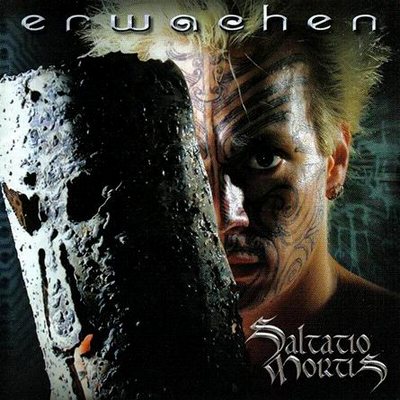 Постер Saltatio Mortis - Discography Saltatio Mortis - Discography