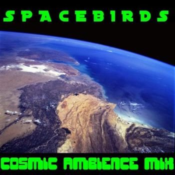 Постер Spacebirds - Collection Spacebirds - Collection