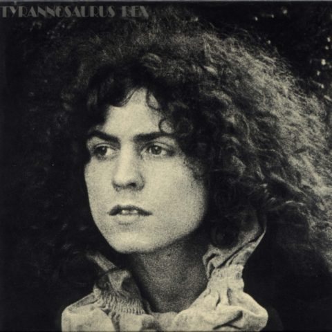 Постер T-REX Discography T-REX Discography