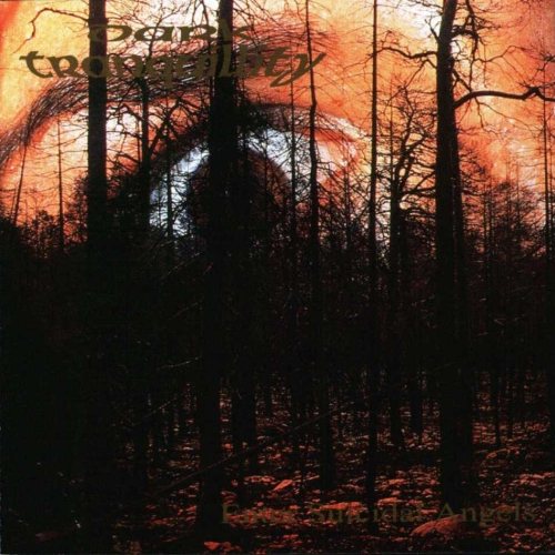 Постер Dark Tranquillity - Discography Dark Tranquillity - Discography
